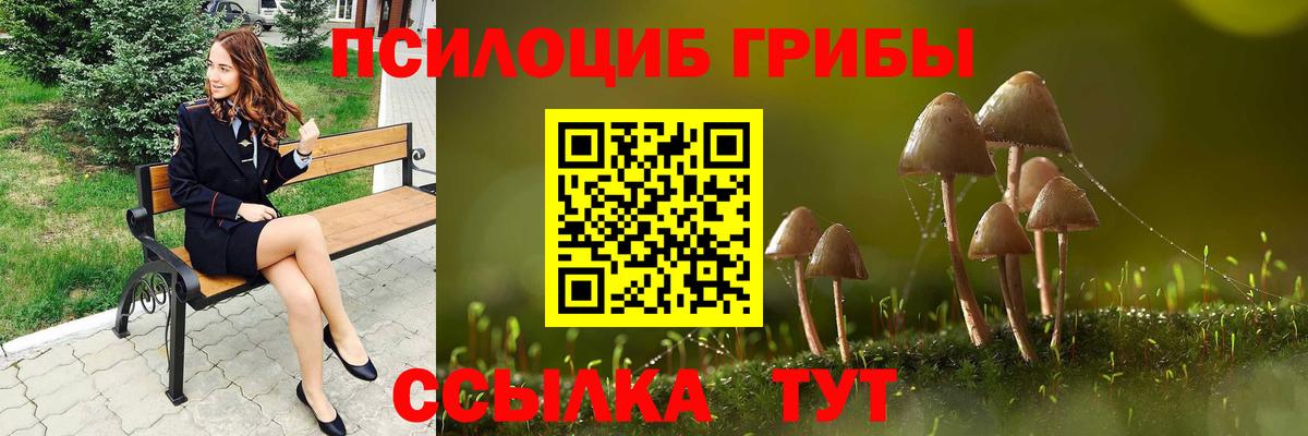 Галлюциногенные грибы прущие грибы Курск