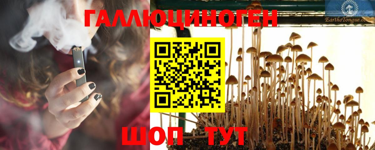 Курск  Галлюциногенные грибы Psilocybe  Вход с VPN 